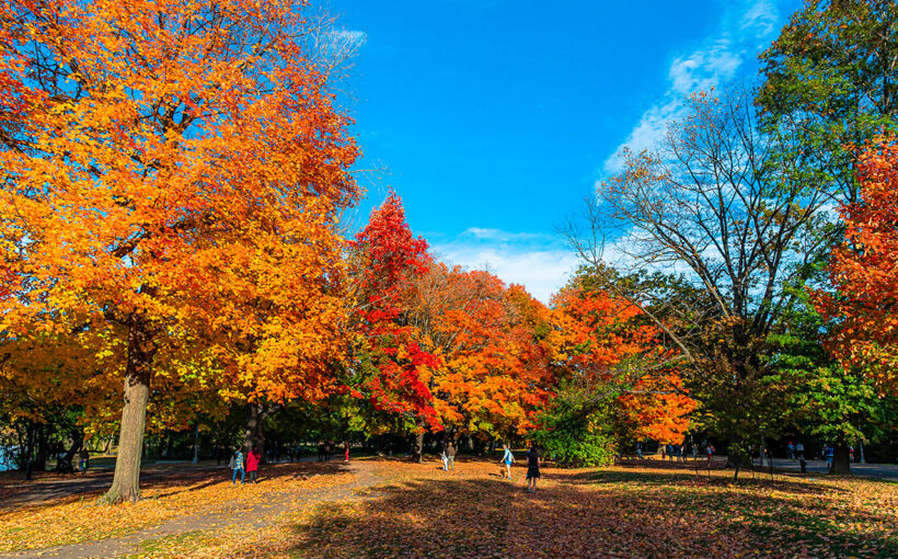 Brooklyn Prospect park